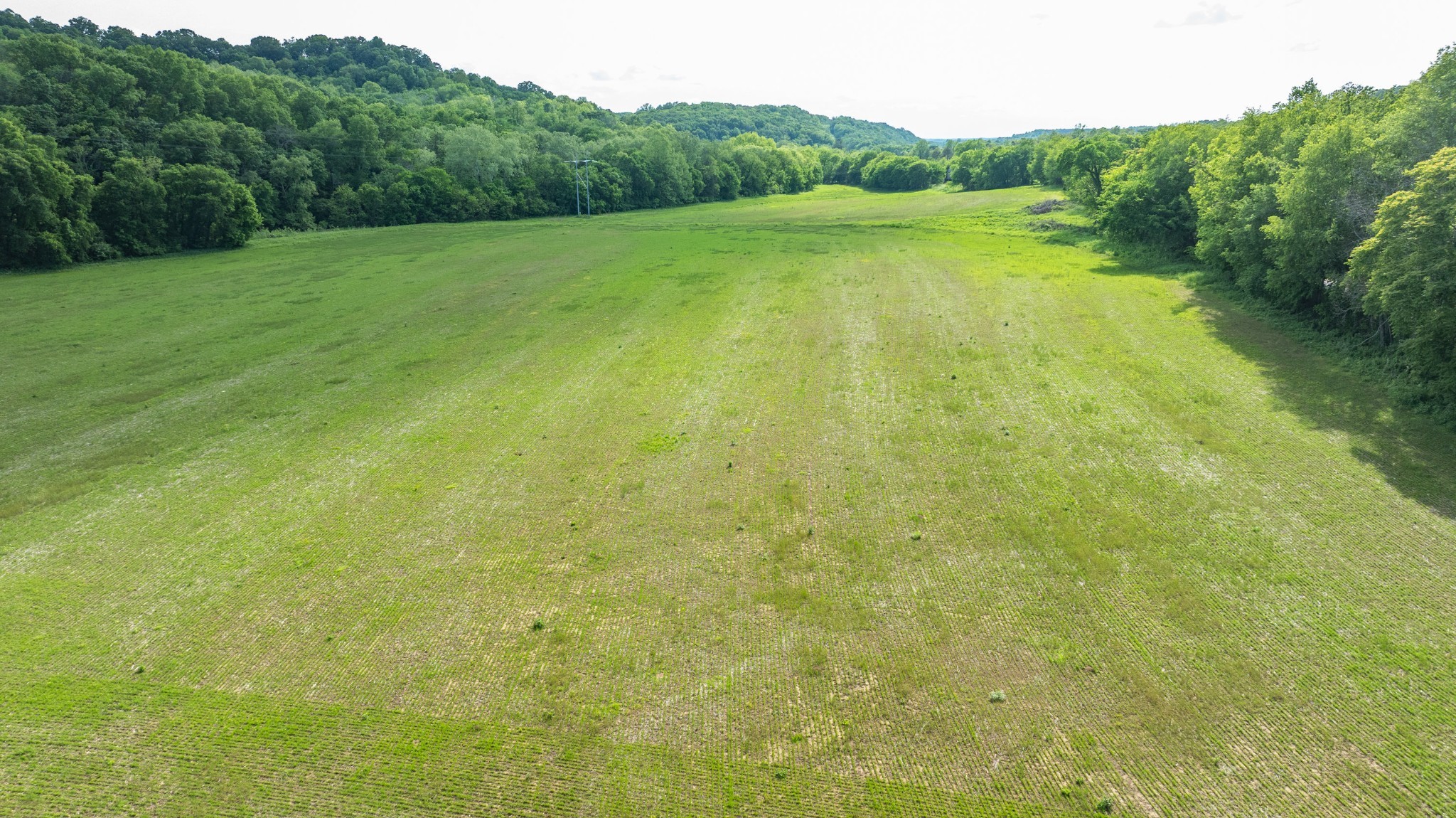0 Snow Creek Road Santa Fe, TN 38482 - Photo 52 of 63 Gallery Image 52