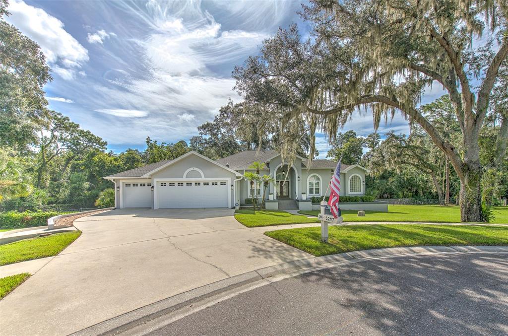 5207 Merion Road Valrico, FL 33596 - Photo 78 of 100 Gallery Image 78