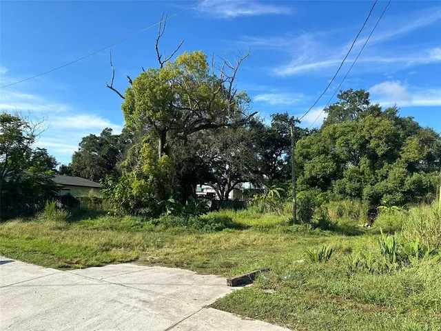 a backyard of a house with lots of green space