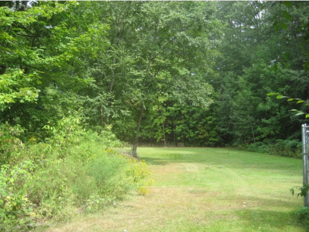 379 Basin Road Brandon, VT 05733 - Photo 8 of 23
