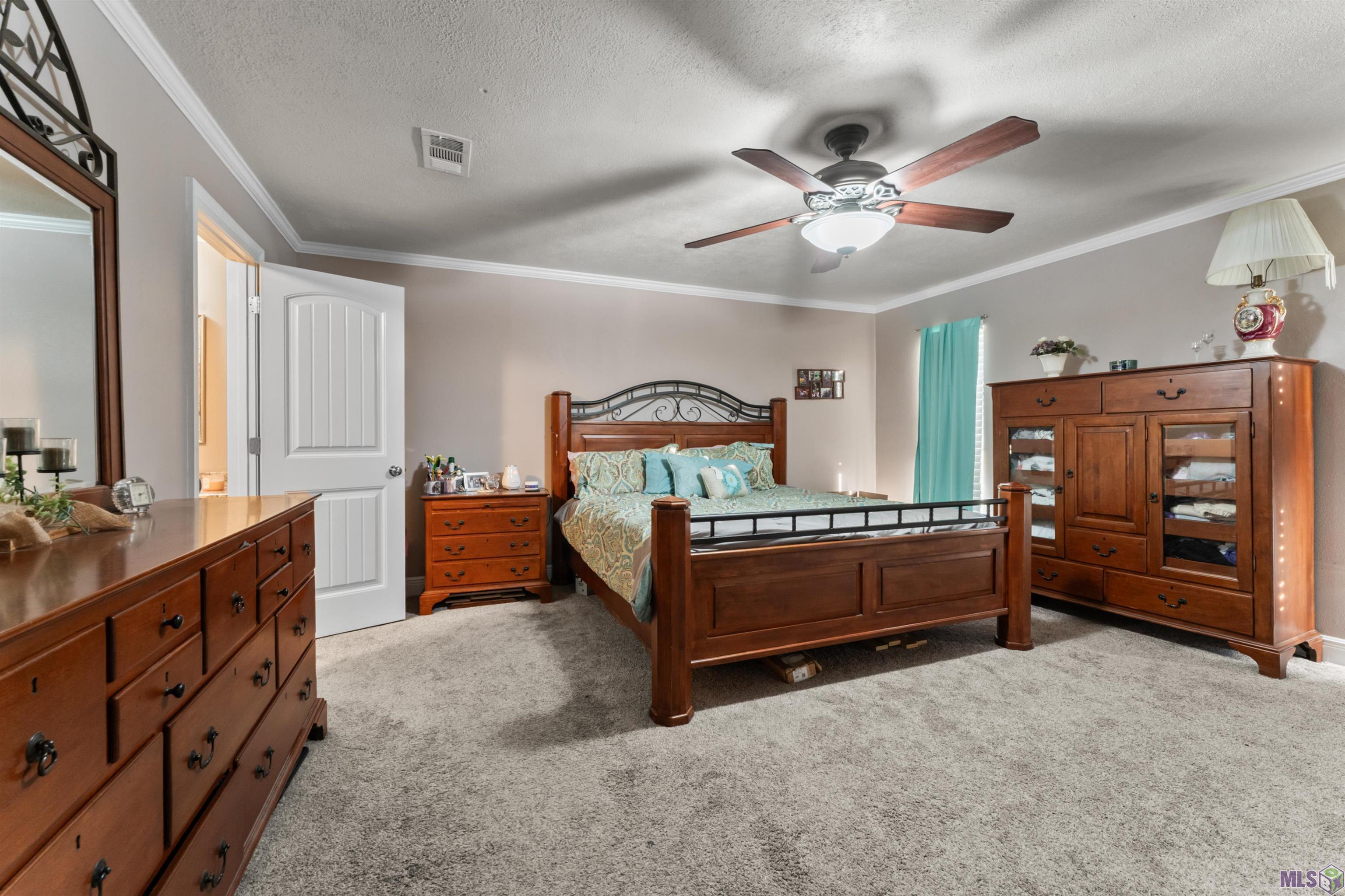 31204 Dunn Road Denham Springs, LA 70726 - Photo 14 of 47