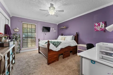 $450,000 | 31204 Dunn Road, Denham Springs, LA 70726