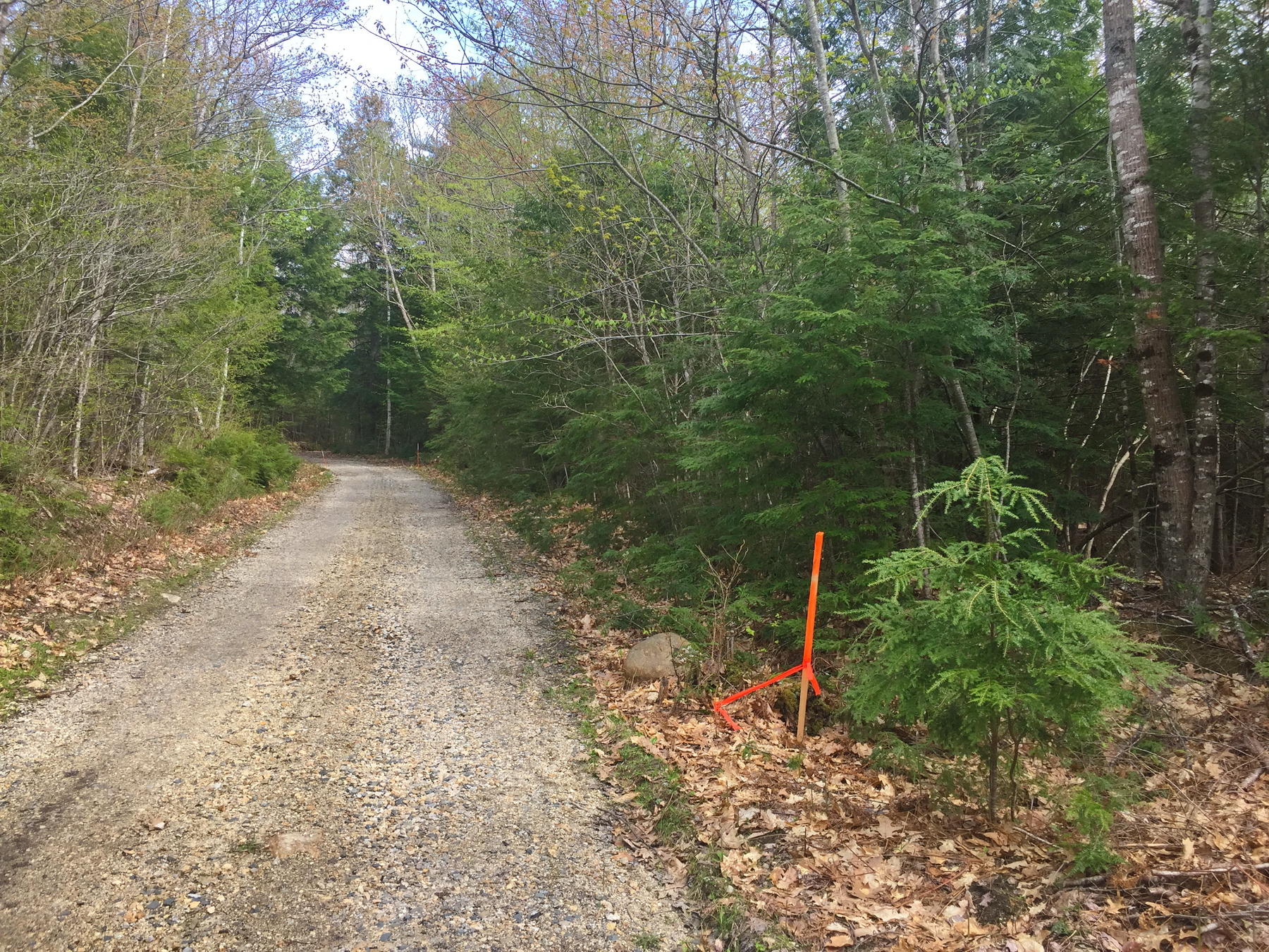 40 Moose Pond Road Otisfield, ME 04270 - Photo 5 of 12 IMG_4452