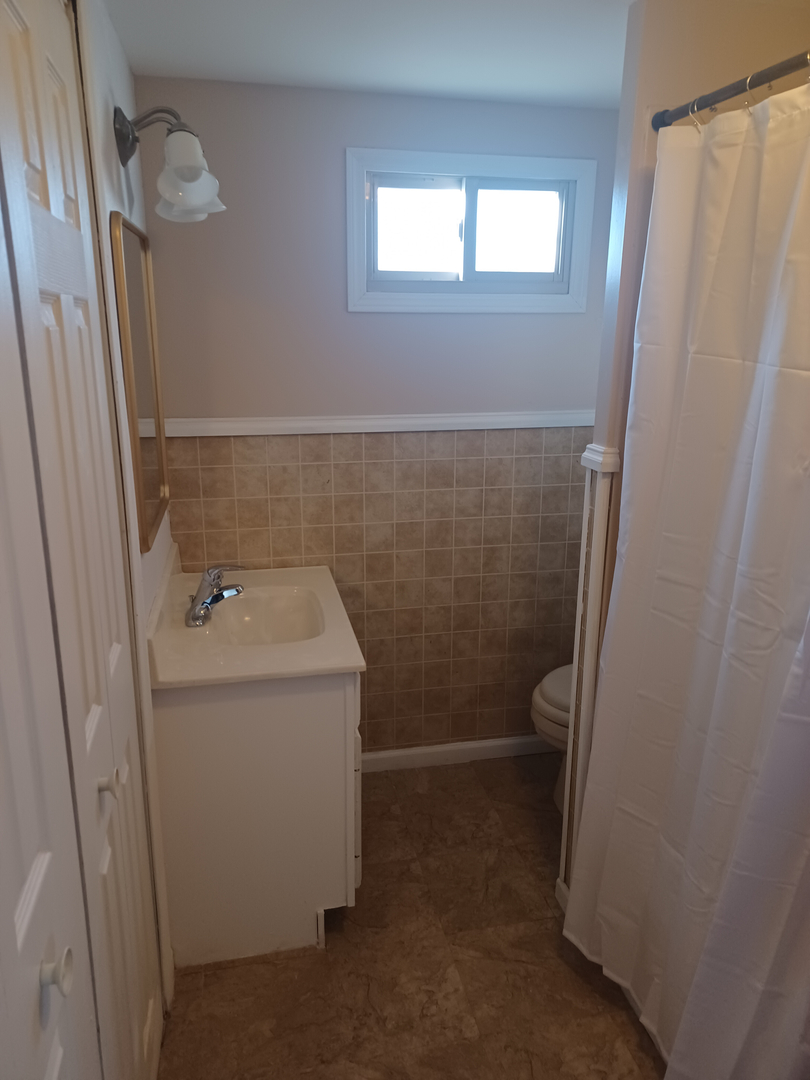 206 South Stott Street Genoa, IL 60135 - Photo 12 of 18 a bathroom with a sink and mirror with toilet