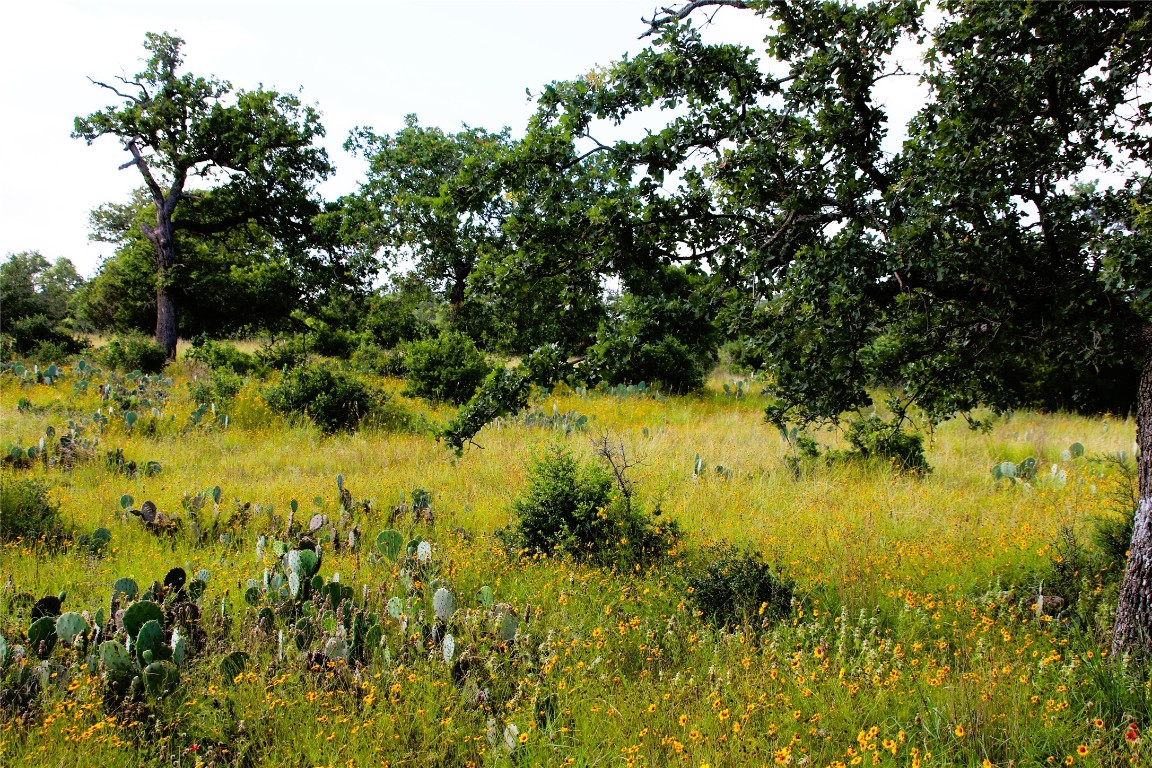 Lot 5 Comanche Ridge Round Mountain, TX 78663 - Photo 11 of 16 a view of a lake