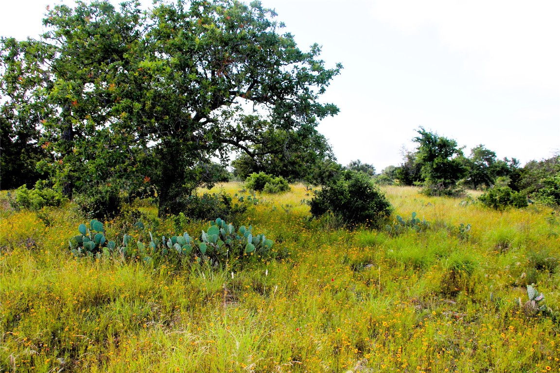 Lot 5 Comanche Ridge Round Mountain, TX 78663 - Photo 12 of 16