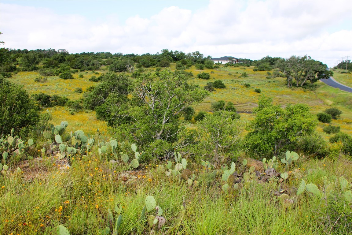 Lot 5 Comanche Ridge Round Mountain, TX 78663 - Photo 13 of 16 a view of a lake with green field
