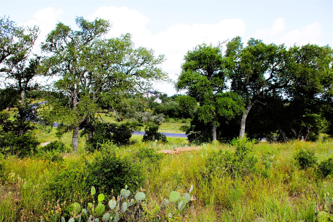 Lot 5 Comanche Ridge Round Mountain, TX 78663 - Photo 15 of 16 a view of a garden with plants