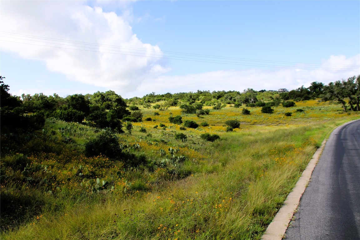 Lot 5 Comanche Ridge Round Mountain, TX 78663 - Photo 2 of 16 a view of a garden with an ocean