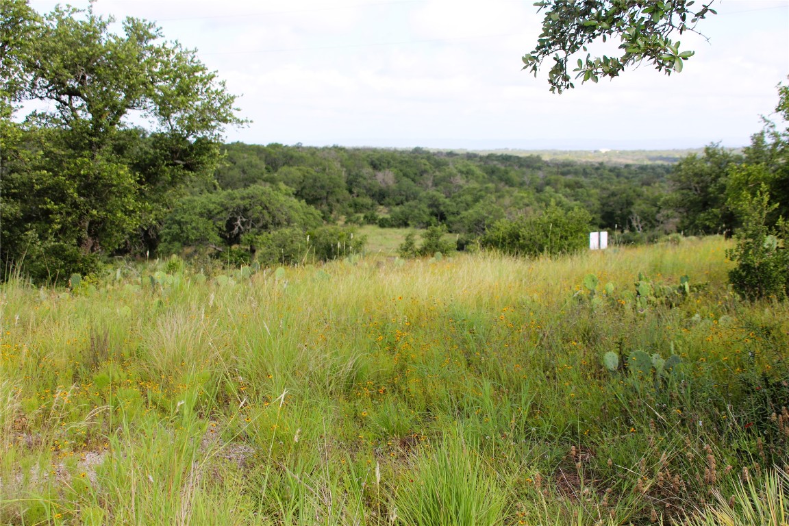 Lot 5 Comanche Ridge Round Mountain, TX 78663 - Photo 4 of 16