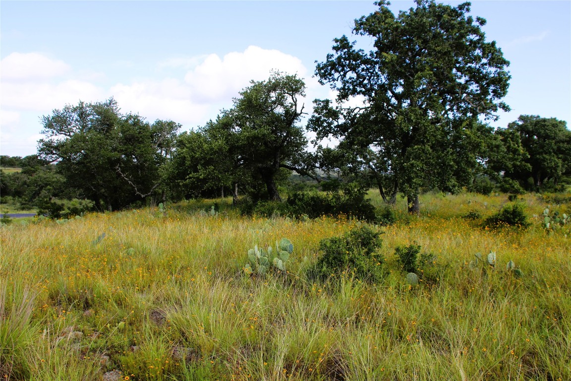 Lot 5 Comanche Ridge Round Mountain, TX 78663 - Photo 5 of 16 a view of lake with green space
