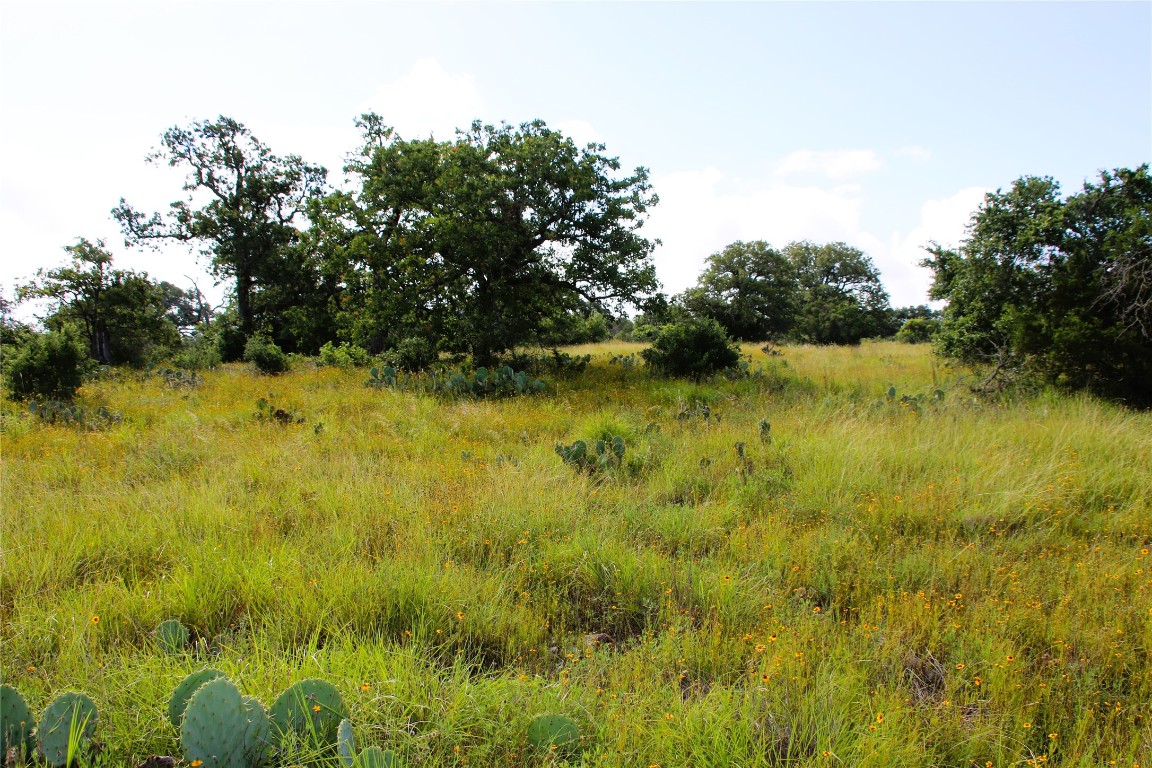 Lot 5 Comanche Ridge Round Mountain, TX 78663 - Photo 6 of 16 a view of a lake view