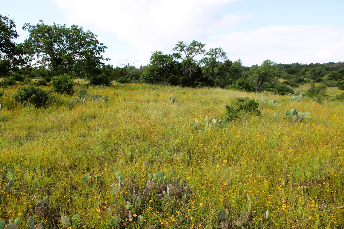 Lot 5 Comanche Ridge Round Mountain, TX 78663 - Photo 8 of 16