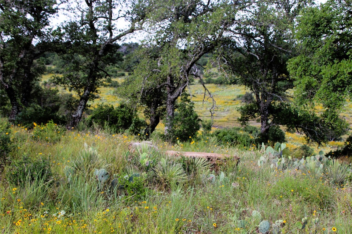 Lot 5 Comanche Ridge Round Mountain, TX 78663 - Photo 9 of 16 a view of a garden from a lake