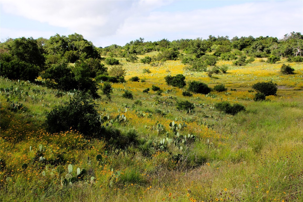 Lot 5 Comanche Ridge Round Mountain, TX 78663 - Photo 10 of 16 a view of a green field