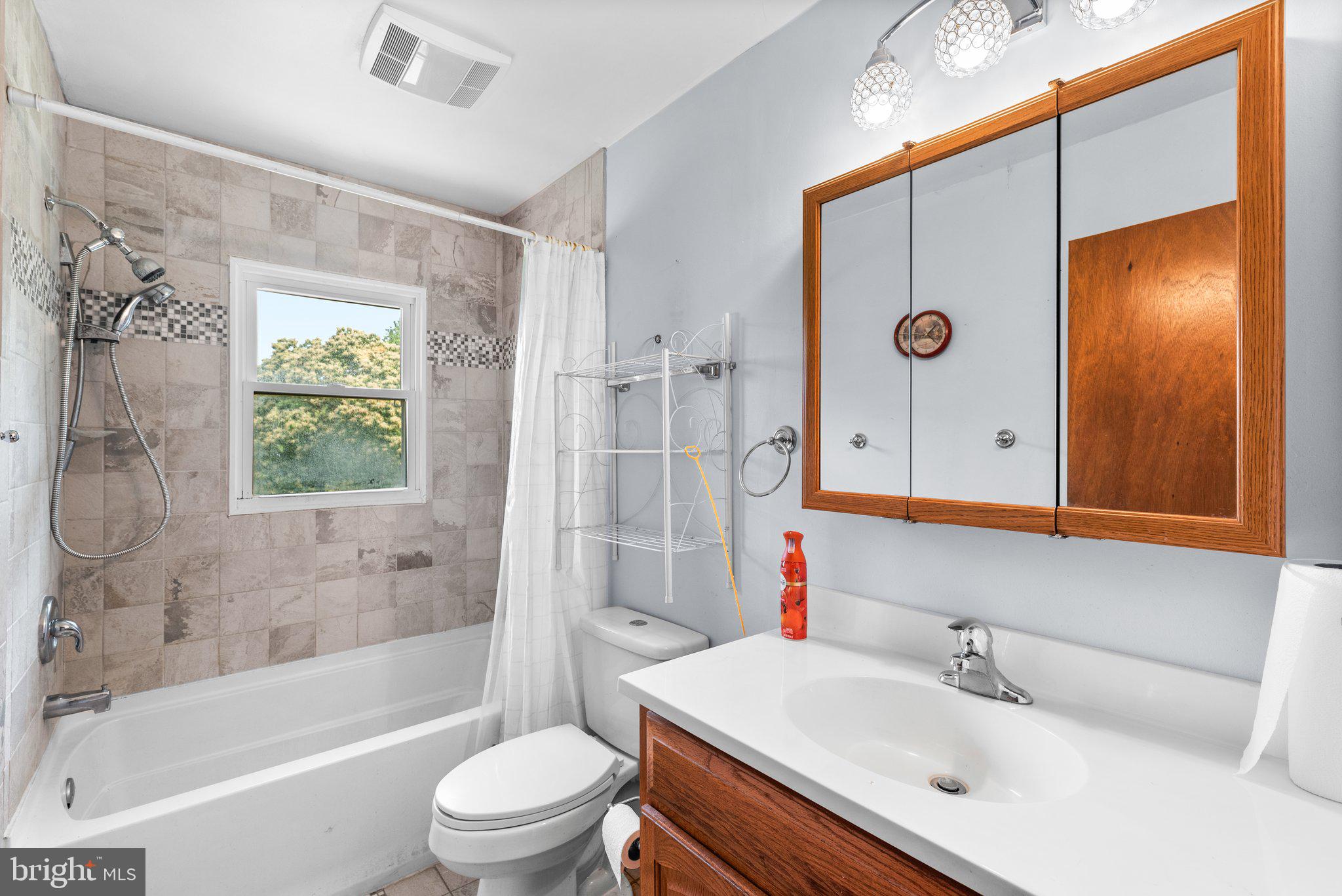10110 Old Liberty Road Frederick, MD 21701 - Photo 15 of 65 a bathroom with a sink a toilet and a bathtub