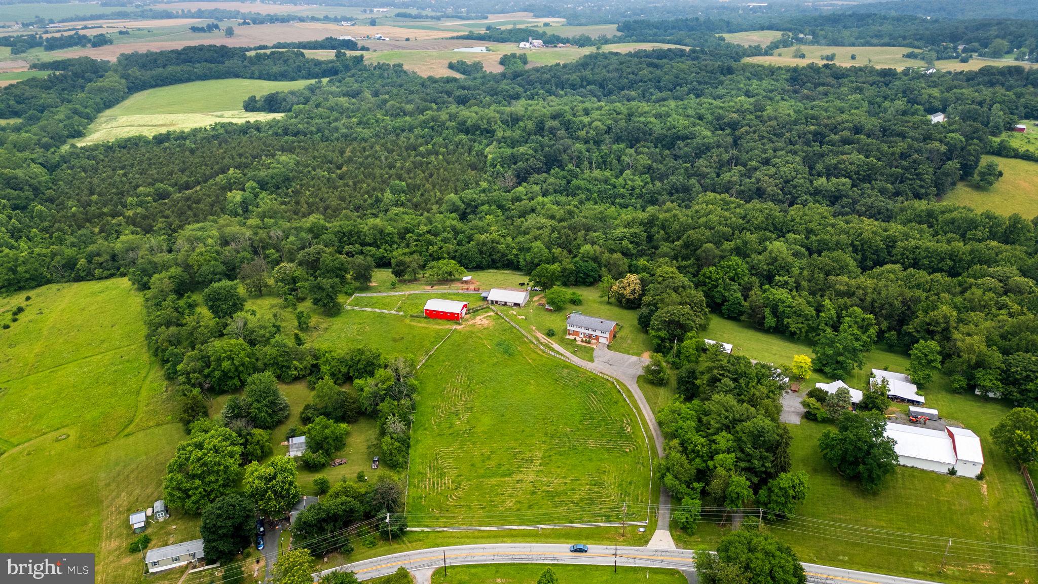 10110 Old Liberty Road Frederick, MD 21701 - Photo 49 of 65 a view of a swimming pool with a yard and large trees