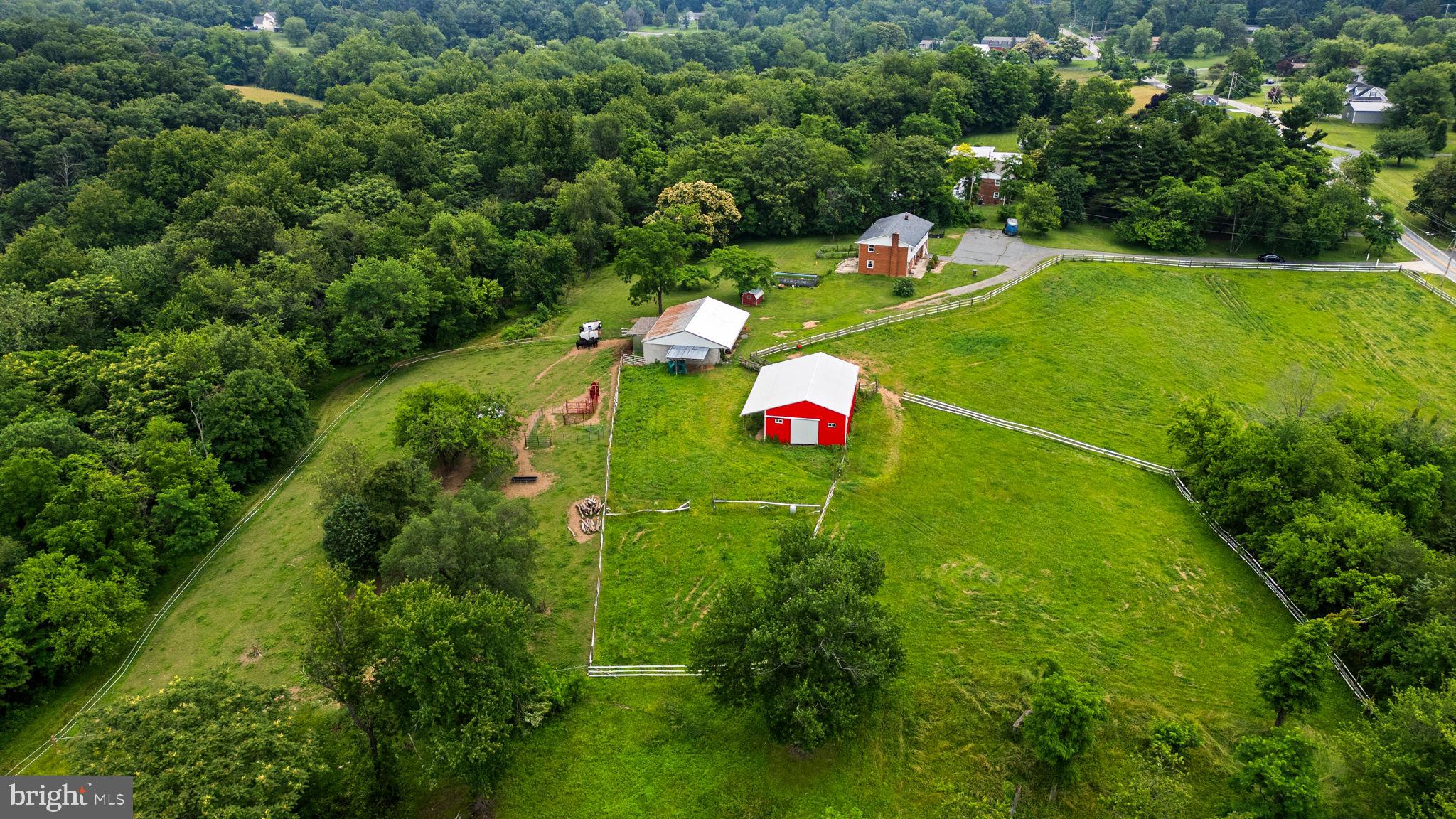 10110 Old Liberty Road Frederick, MD 21701 - Photo 57 of 65 a backyard of a house with entertaining space and trees