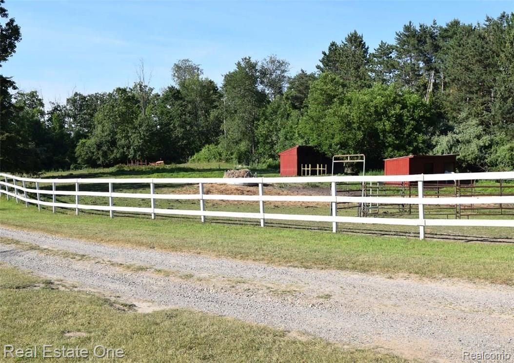 3838 East Allen Road Howell, MI 48855 - Photo 21 of 29 Front Pasture