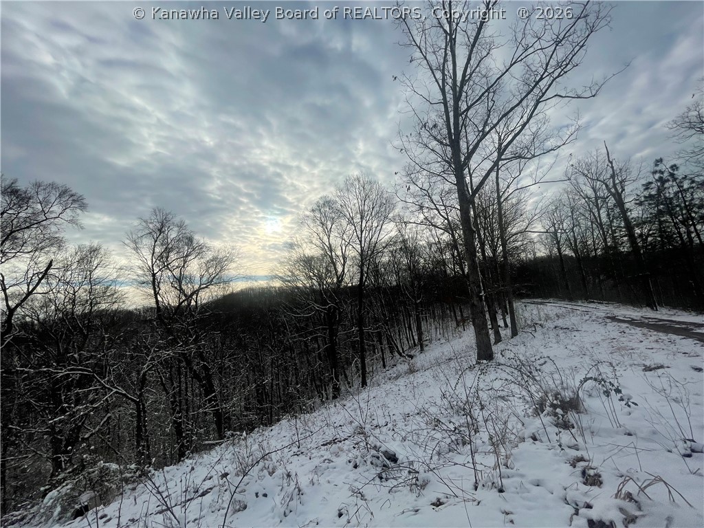 0 Grouse Ridge Sumerco, WV 25567 - Photo 9 of 17 Gallery Image 9