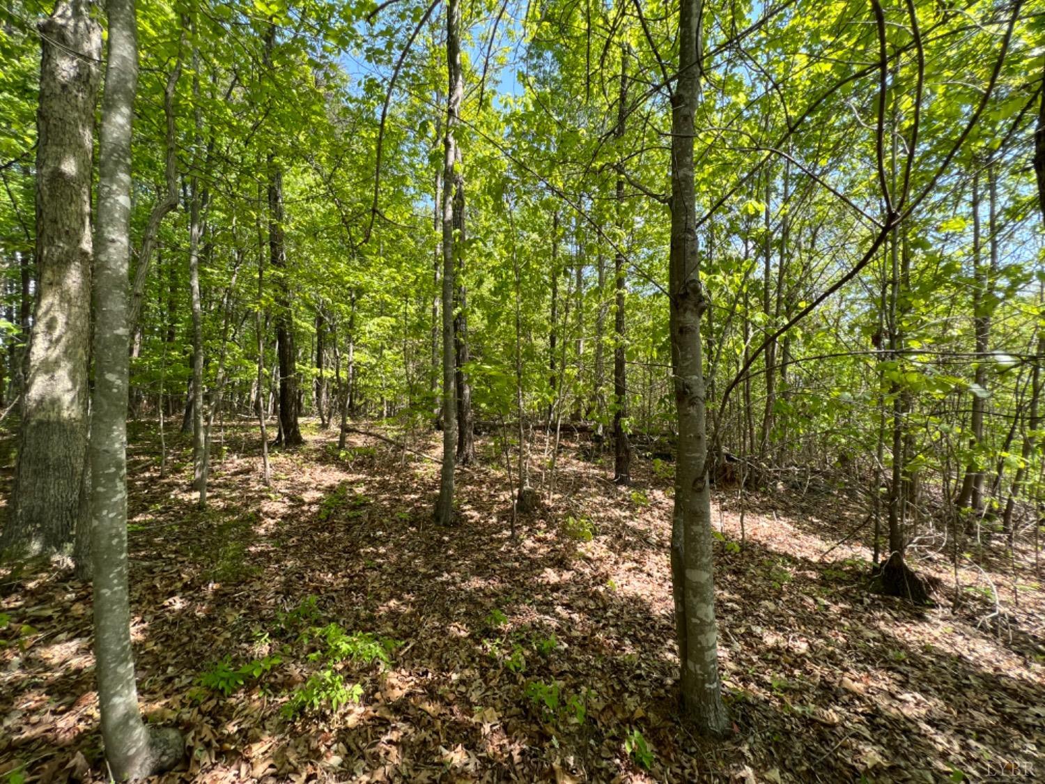 0 Buccaneer Road Goodview, VA 24095 - Photo 2 of 8