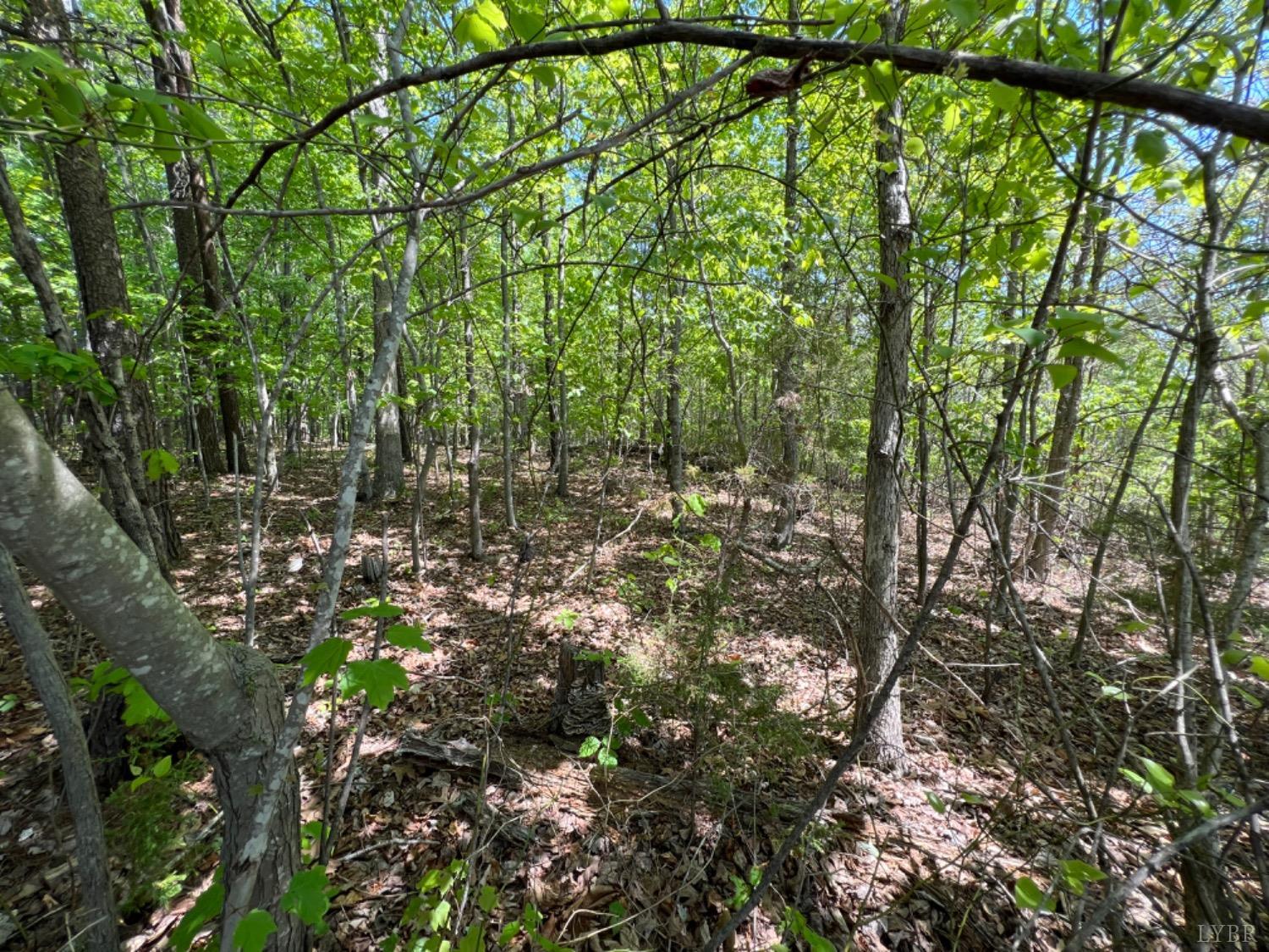 0 Buccaneer Road Goodview, VA 24095 - Photo 3 of 8