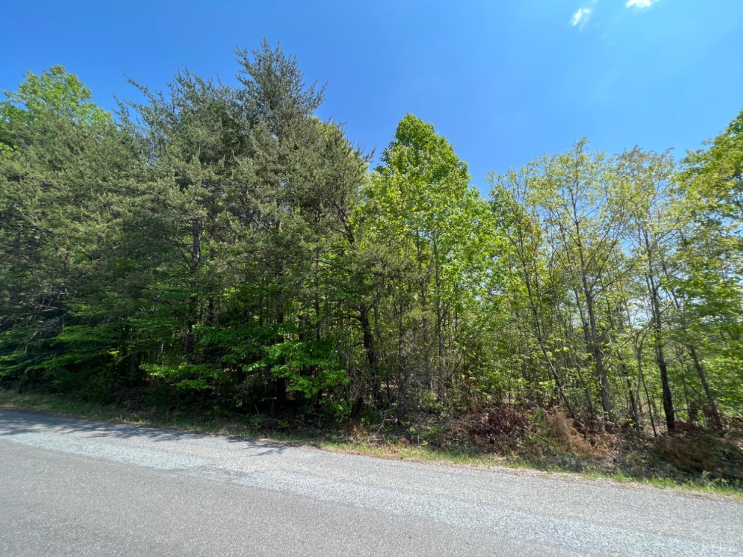 0 Buccaneer Road Goodview, VA 24095 - Photo 5 of 8