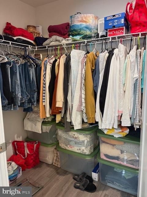17 Senators Way Berlin, NJ 08009 - Photo 23 of 37 a view of walk in closet with clothes and shoes