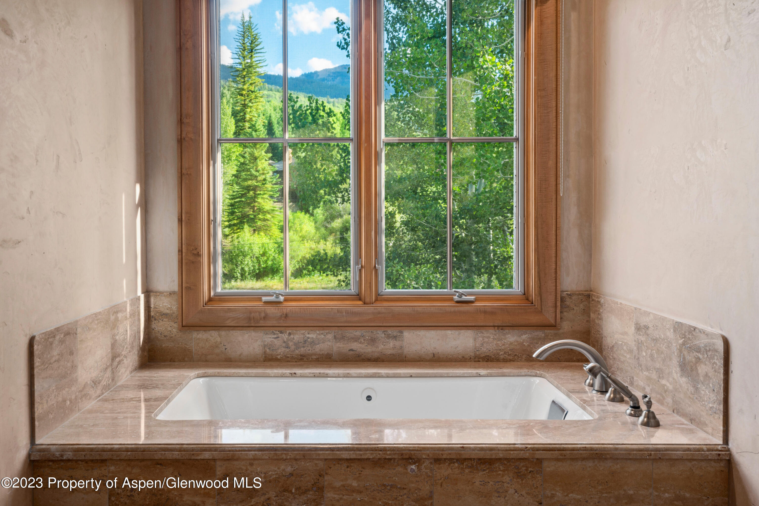 507 Streamside Court Snowmass Village, CO 81615 - Photo 17 of 30 Photo7