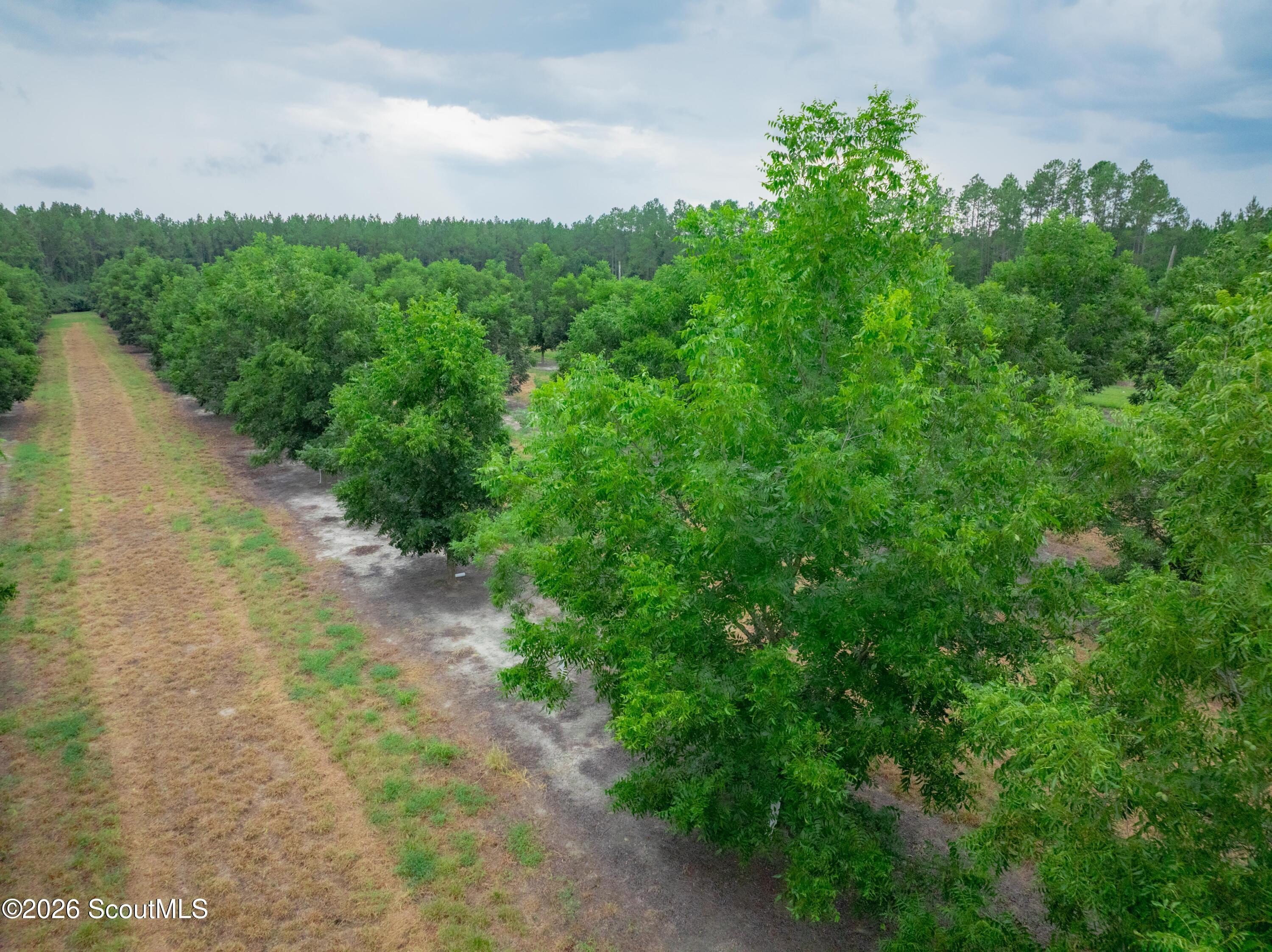 0 Deerfield Road Blackshear, GA 31516 - Photo 15 of 20 DJI_0354-HDR