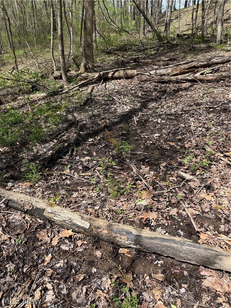 Plainview Road Woodsfield, OH 43793 - Photo 20 of 20