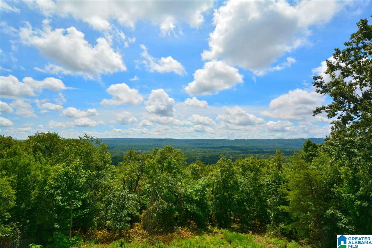 2068 Brook Highland Ridge Birmingham, AL 35242 - Photo 50 of 50