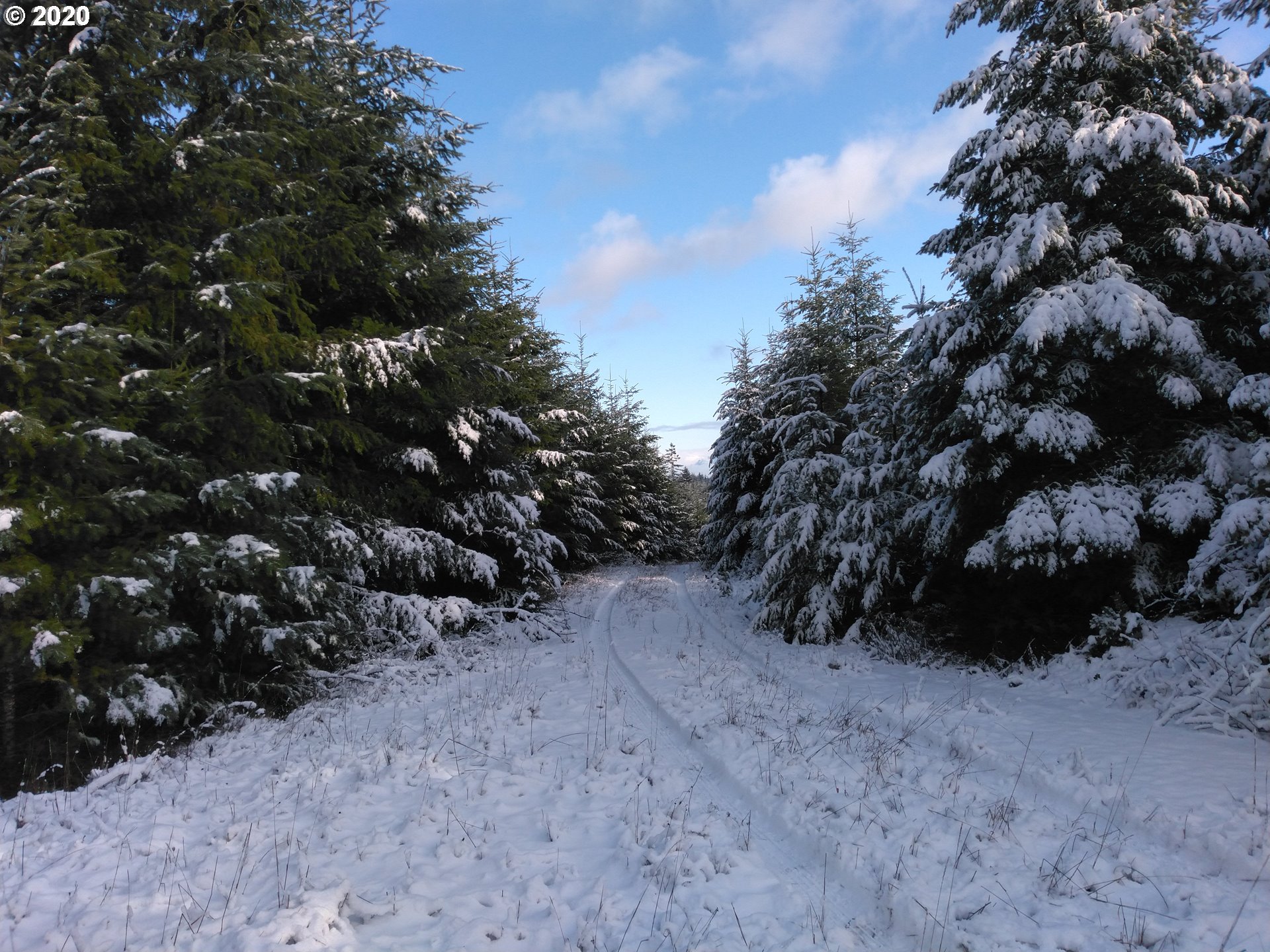 0 Gooseneck Creek Road Sheridan, OR 97378 - Photo 1 of 17 Gallery Image 1