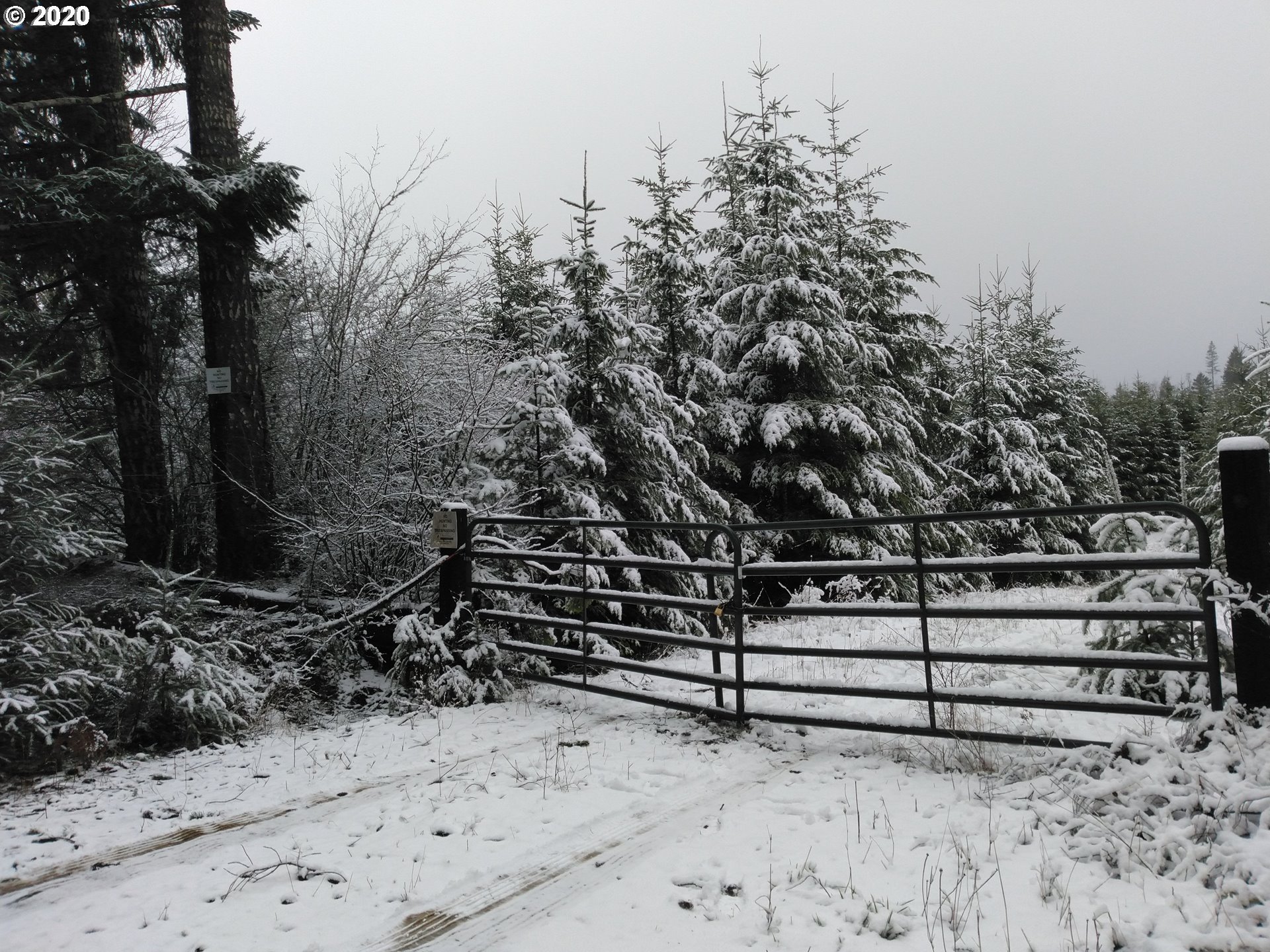0 Gooseneck Creek Road Sheridan, OR 97378 - Photo 2 of 17 Gallery Image 2