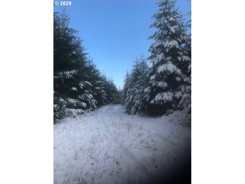 0 Gooseneck Creek Road Sheridan, OR 97378 - Photo 11 of 17 Gallery Image 11