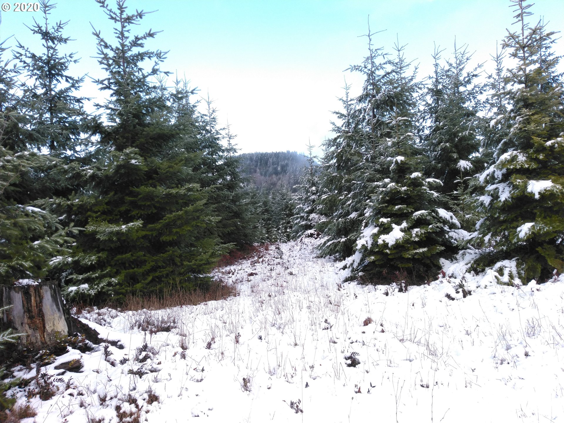 0 Gooseneck Creek Road Sheridan, OR 97378 - Photo 3 of 17 Gallery Image 3