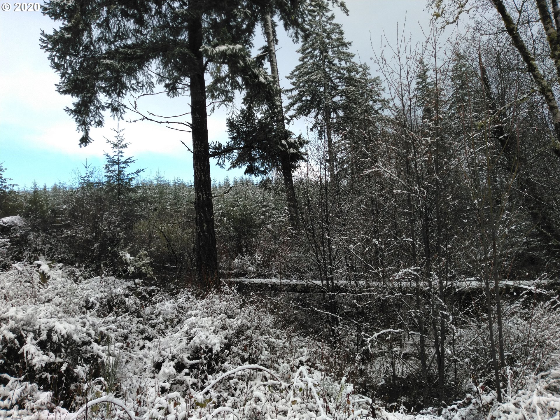 0 Gooseneck Creek Road Sheridan, OR 97378 - Photo 4 of 17 Gallery Image 4