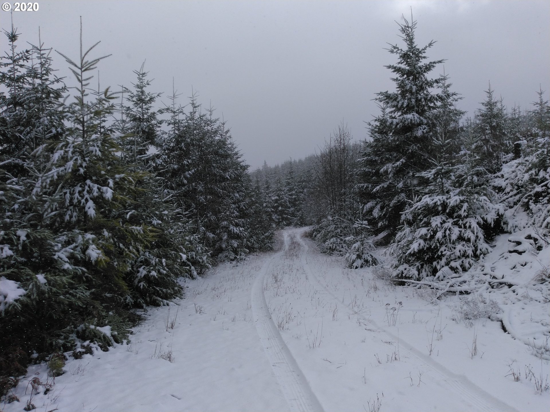 0 Gooseneck Creek Road Sheridan, OR 97378 - Photo 5 of 17 Gallery Image 5