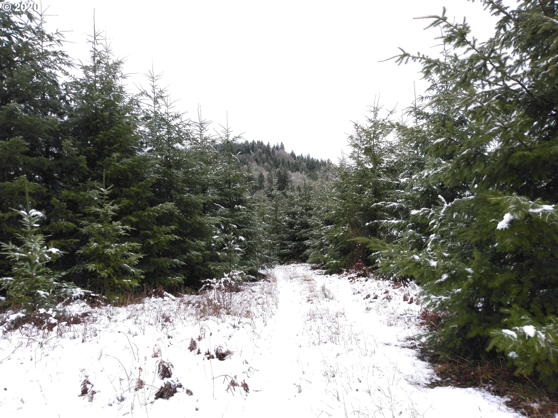 0 Gooseneck Creek Road Sheridan, OR 97378 - Photo 6 of 17 Gallery Image 6
