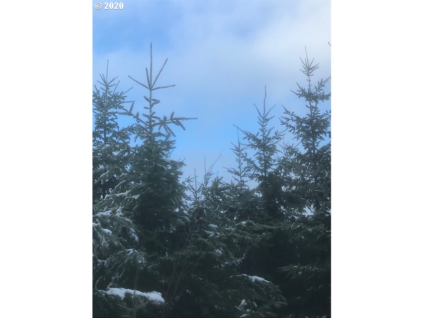 0 Gooseneck Creek Road Sheridan, OR 97378 - Photo 10 of 17 Gallery Image 10