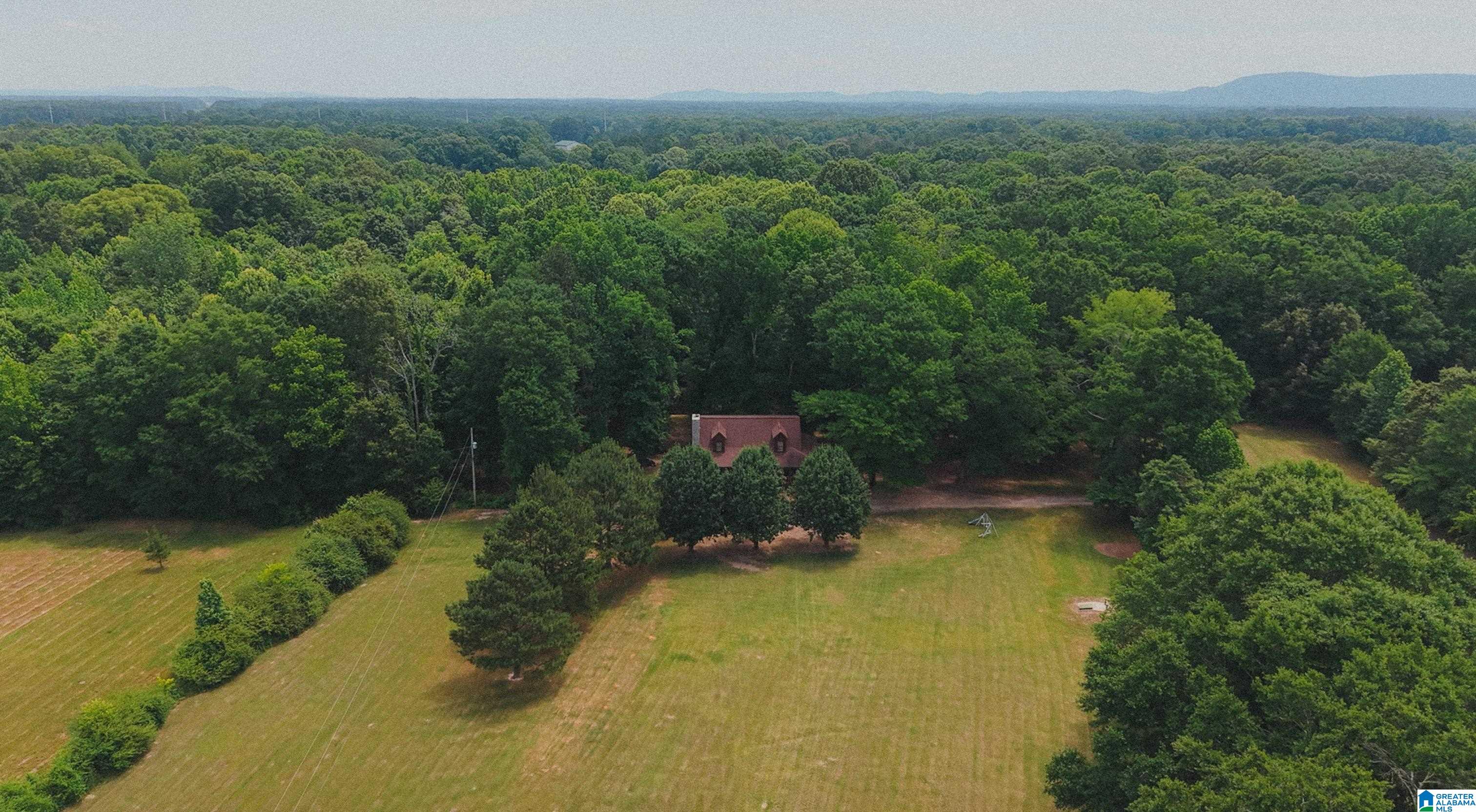 544 Fann Road Steele, AL 35987 - Photo 71 of 84