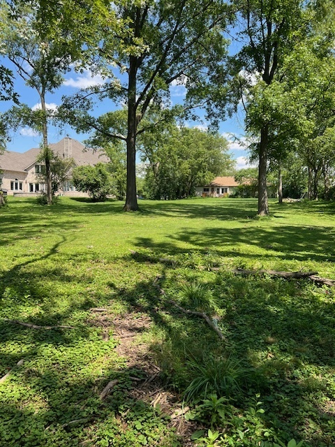 7740 South County Line Road Burr Ridge, IL 60527 - Photo 4 of 13 a view of a grassy field with trees