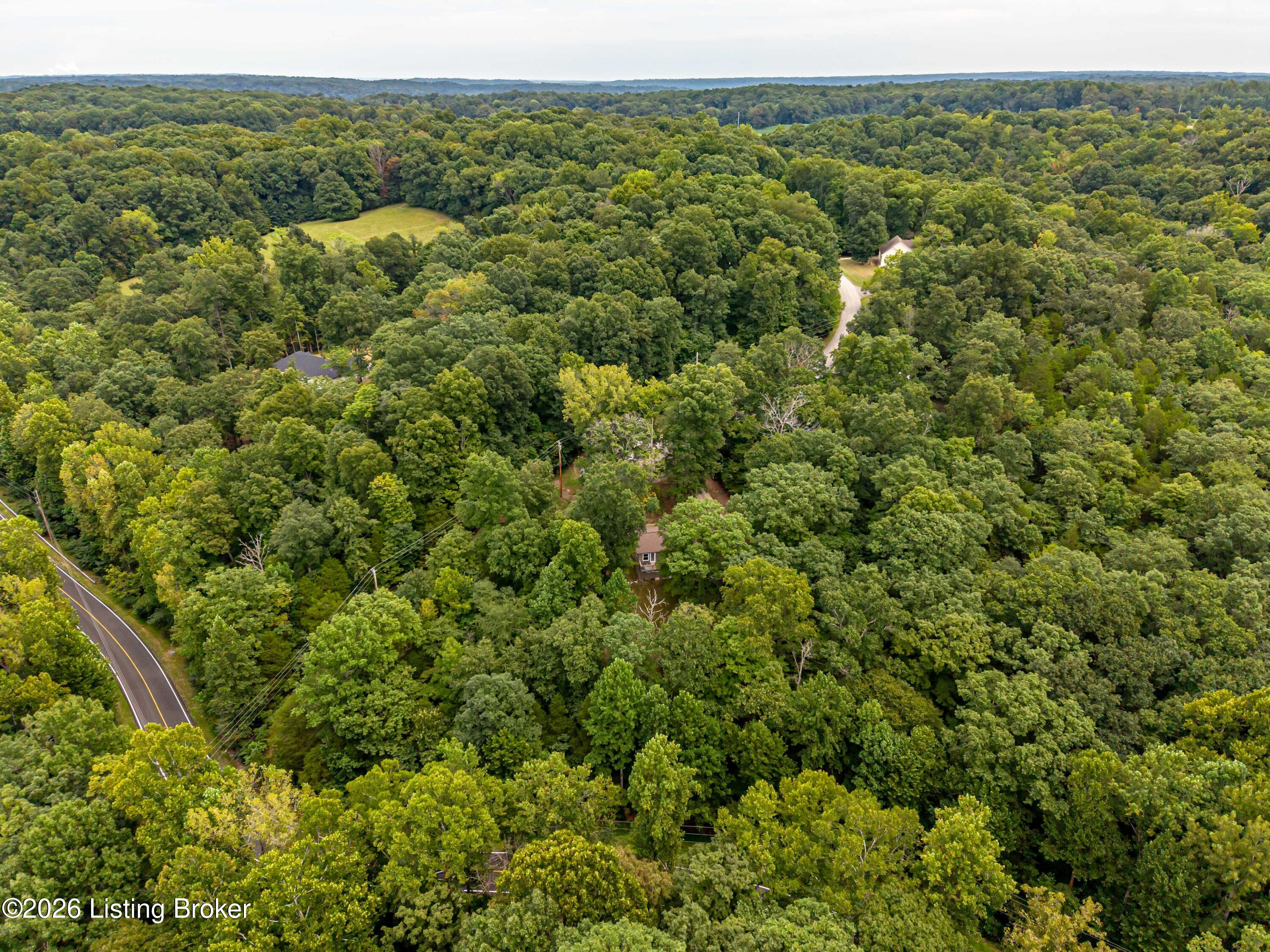 957 Wildflower Ridge Road Brandenburg, KY 40108 - Photo 56 of 70 24-Aerial-Wooded-Road