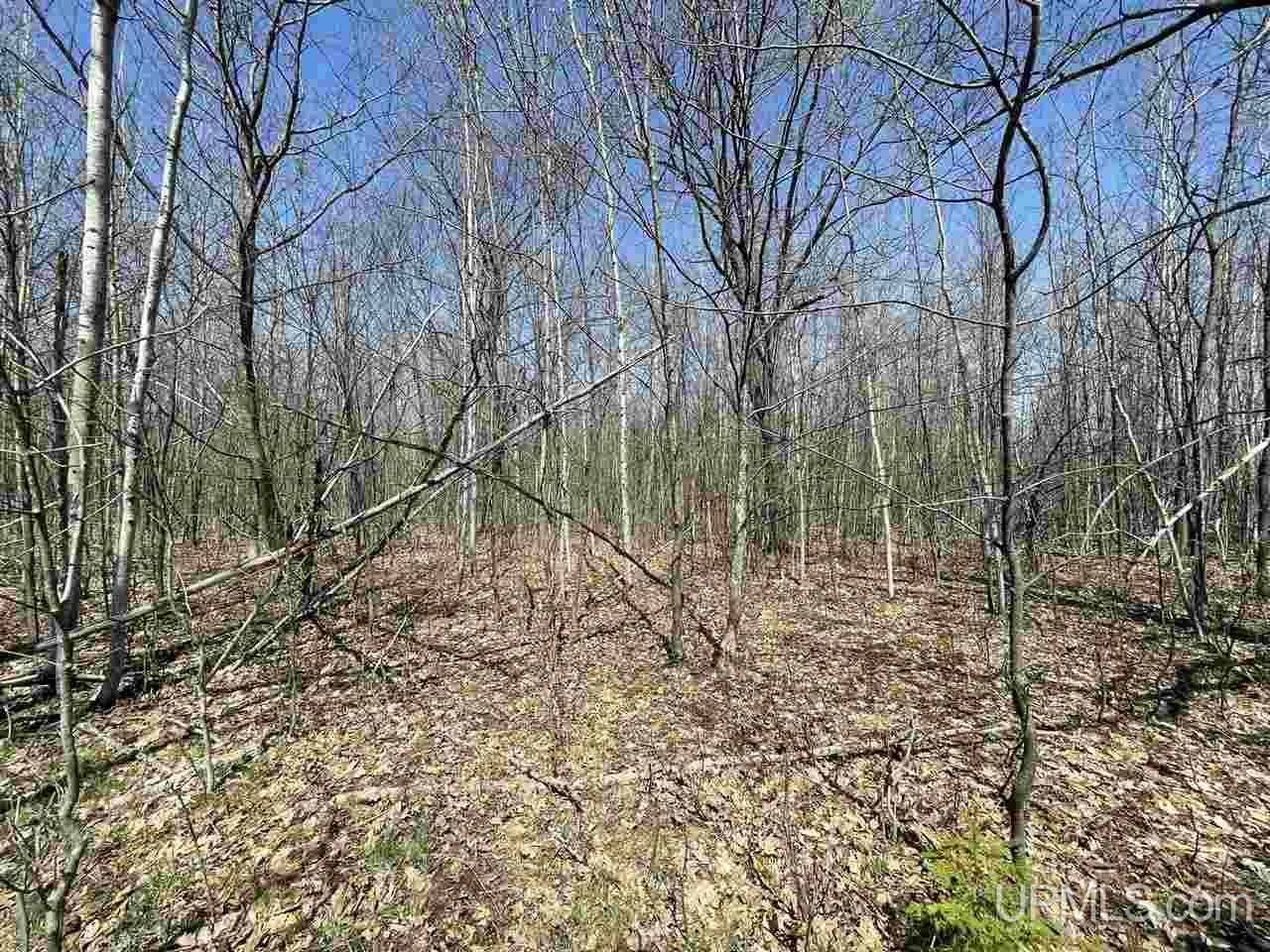 Tbd Paulson Road Skanee, MI 49962 - Photo 8 of 19 Gallery Image 8