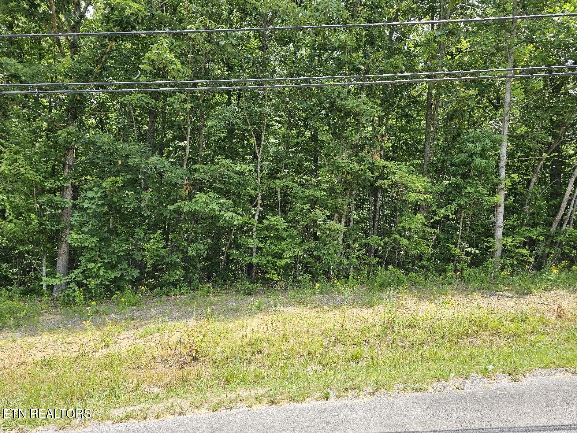 Gray Fox Drive Crossville, TN 38571 - Photo 2 of 6 20240703_123206