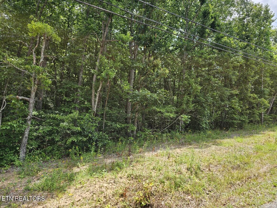 Gray Fox Drive Crossville, TN 38571 - Photo 3 of 6 20240703_123231