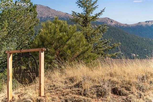 20 Spur Road Divide, CO 80814 - Photo 24 of 34 Gallery Image 24