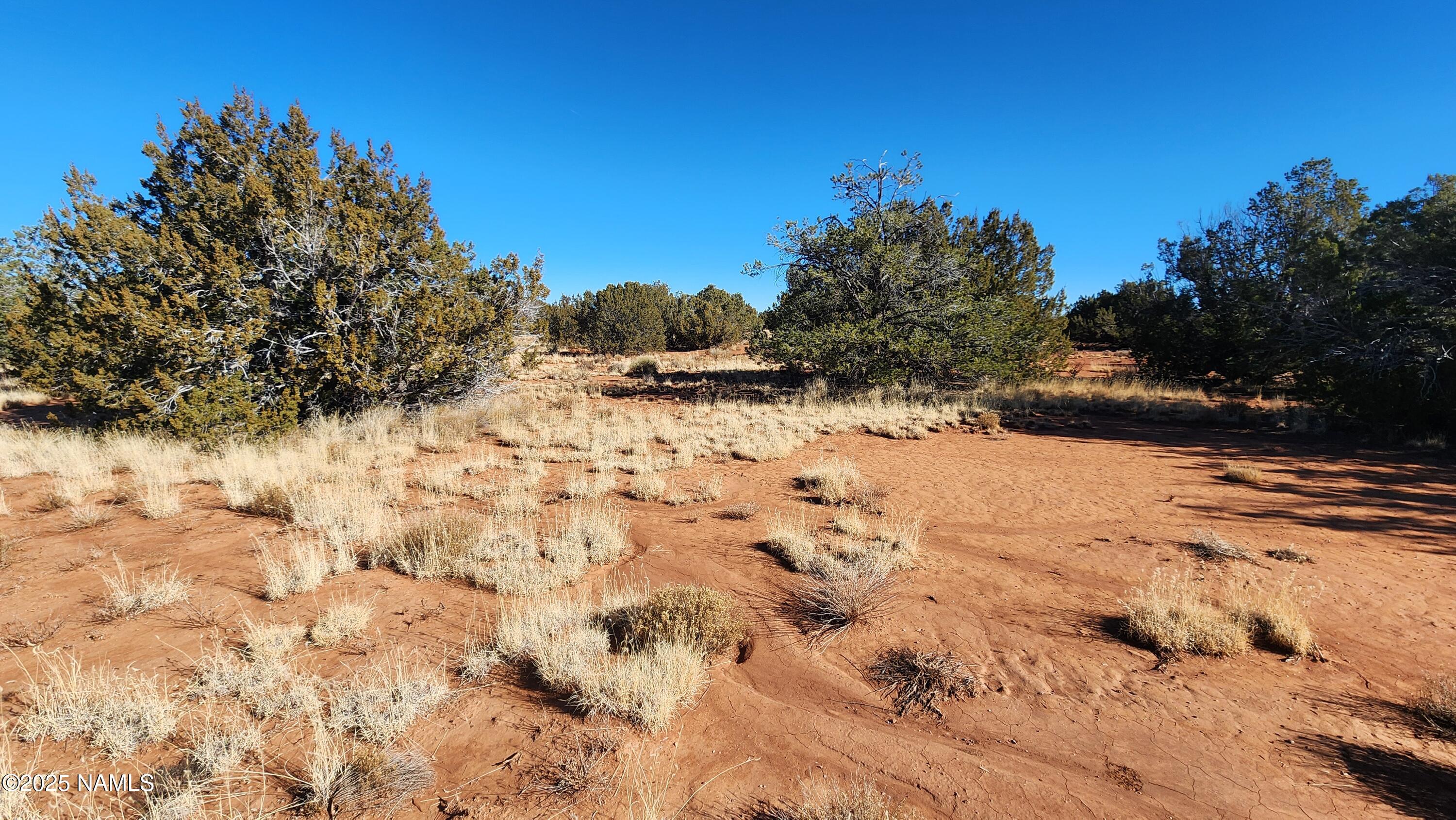 3372 East Valencia Road Williams, AZ 86046 - Photo 16 of 34 1000023815