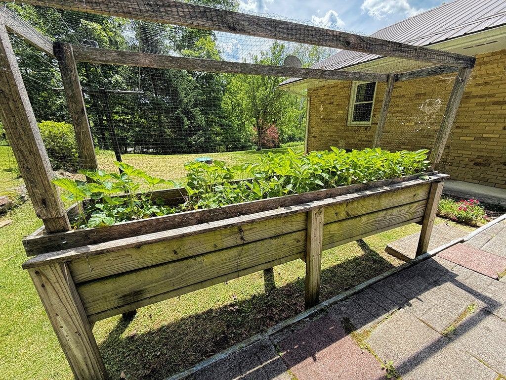 48 Dale Road Mount Union, PA 17066 - Photo 31 of 66 Gallery Image 31