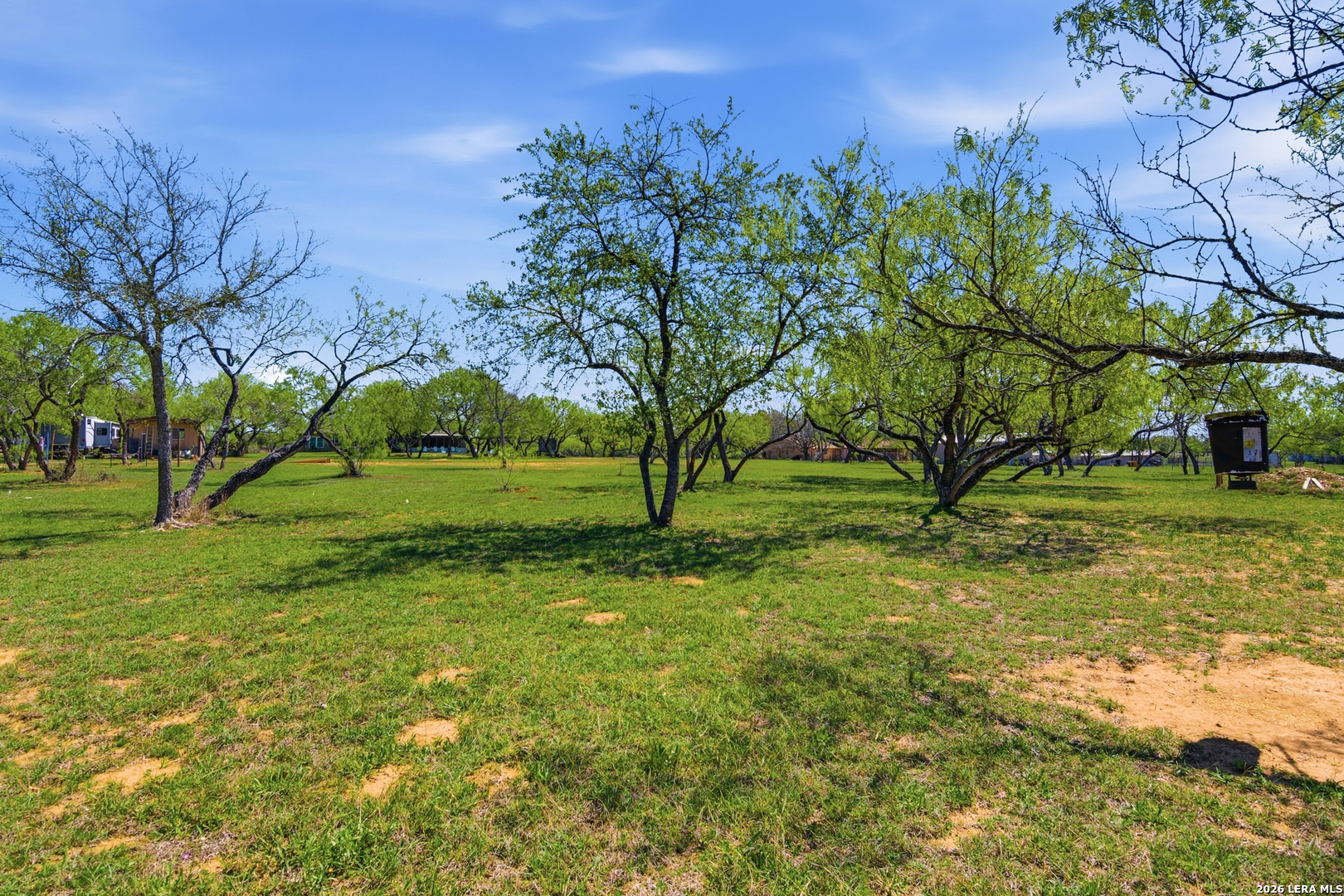 105 Old Campbell Road Seguin, TX 78155 - Photo 40 of 49 a view of a tree in front of a house